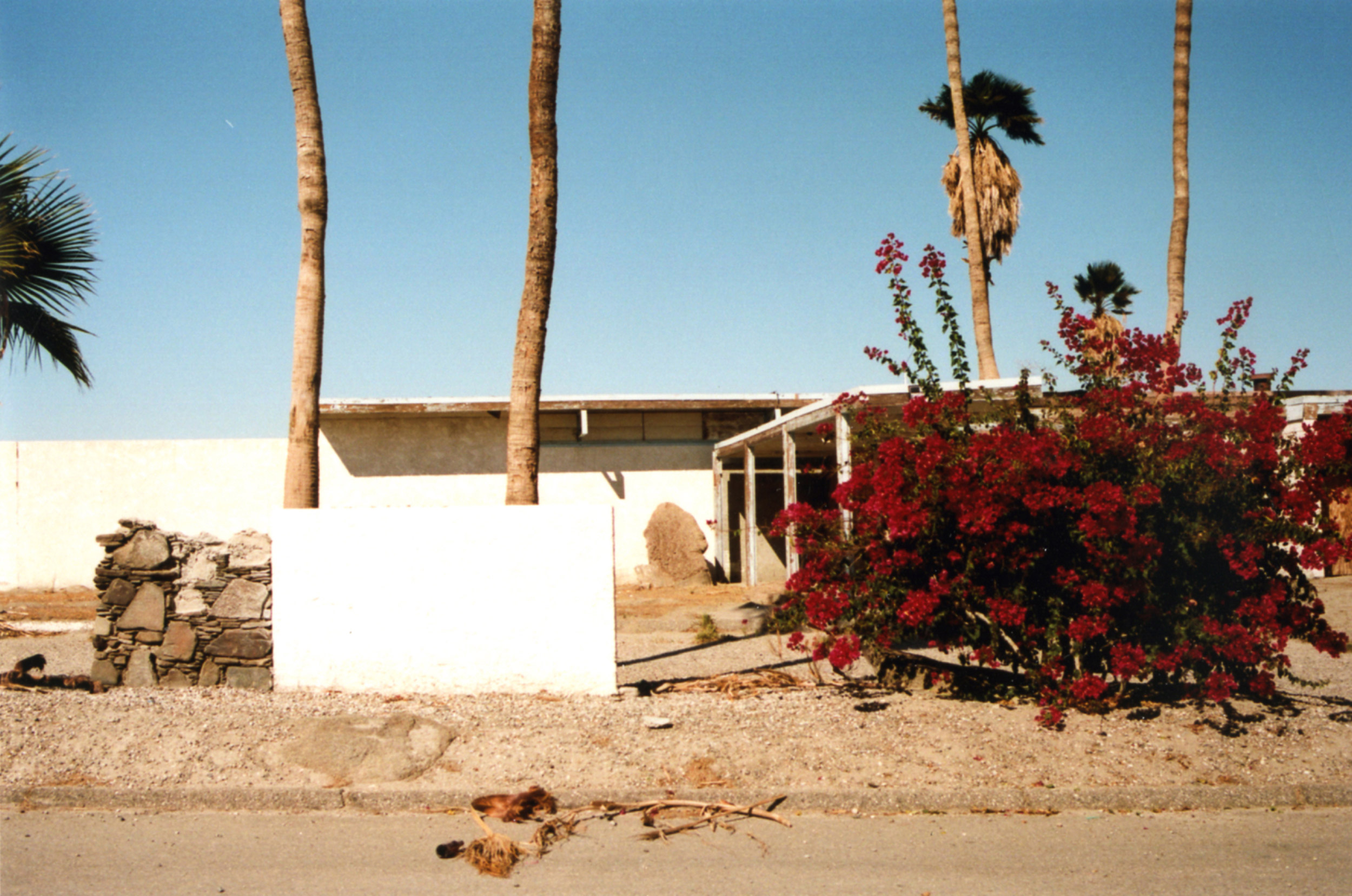 Paradise Lost Paradise Lost